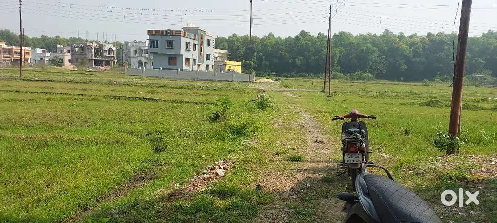 3 Katha plot 14,50,000  Par Katha Pardoi