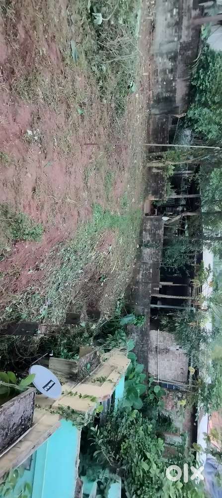 Land for sale( Eksonia)