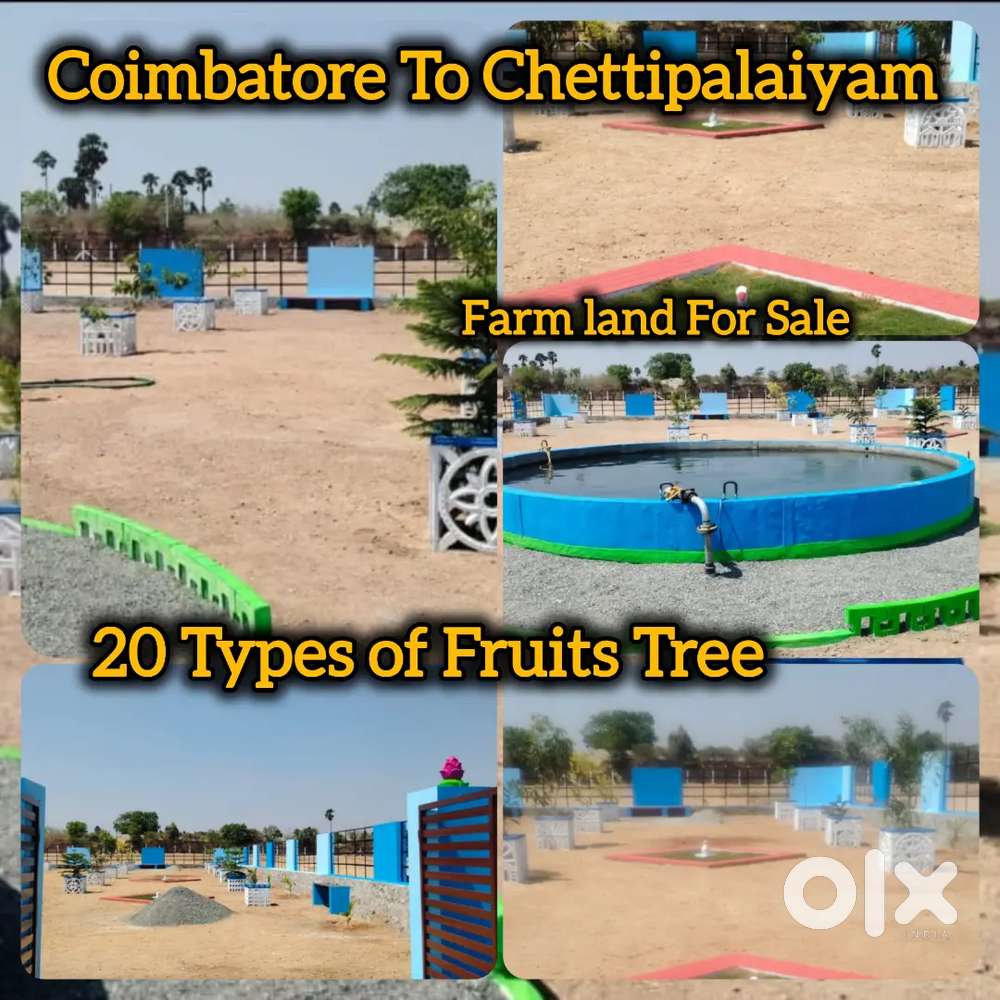 Low Budget Farm Land For Sale