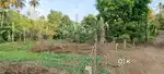 60 cent near backwaters suitable for agriculture and residential