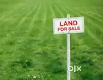 Plot shop and house for sale contact me