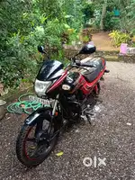 Hero passion pro 2013