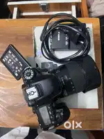 Cannon 80 d
