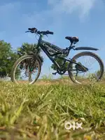 Electric cycle
