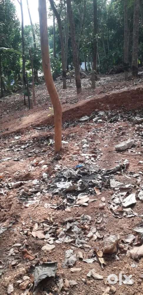 Plot for sale 7 cend