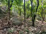 A Land with Natural Cave