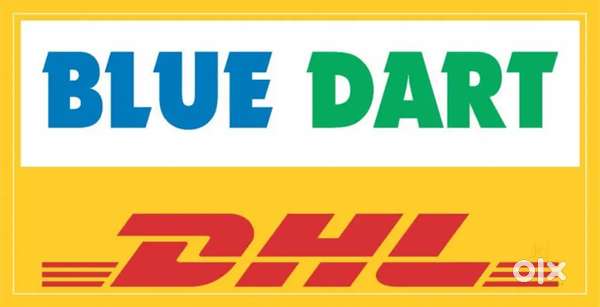 BLUEDART DELIVERY -T NAGAR