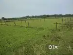 Plot for sale near BERHAMPUR University