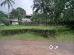 മന്നലാംകുന്ന്  വെട്ടിപ്പുഴ