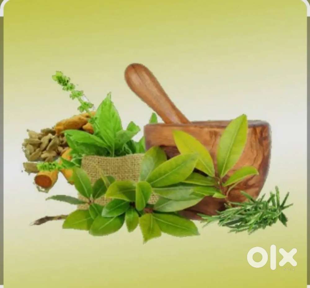 Femail telecaller and therapist