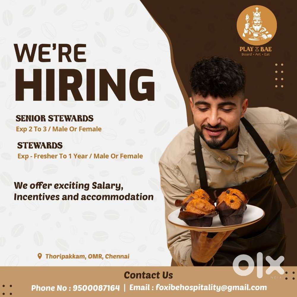 WANTED STEWARD / SENIOR STEWARD