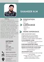 Accountant