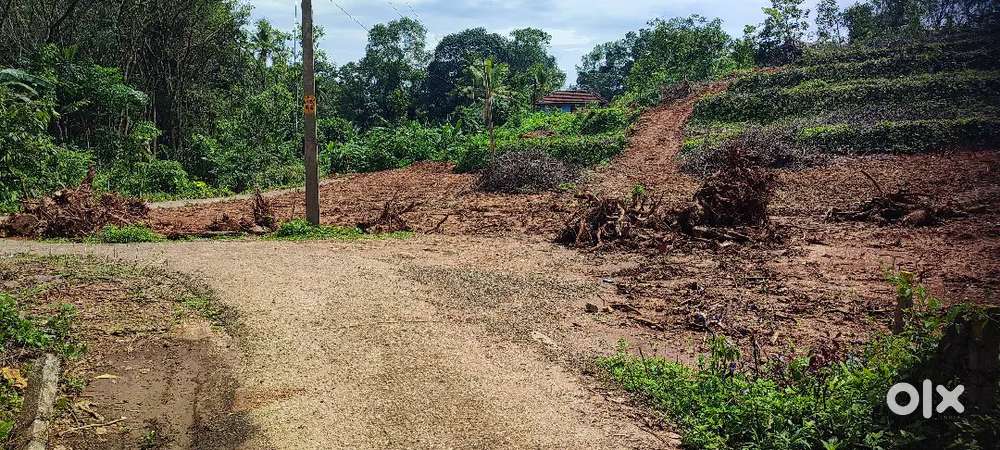 Pulickalkavala.10 cent house plot.1.10 .lakh.