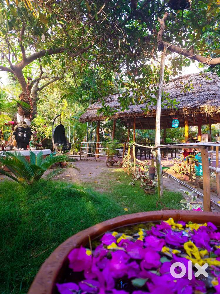 Service boy House Keeping and Restuarant Service Boy