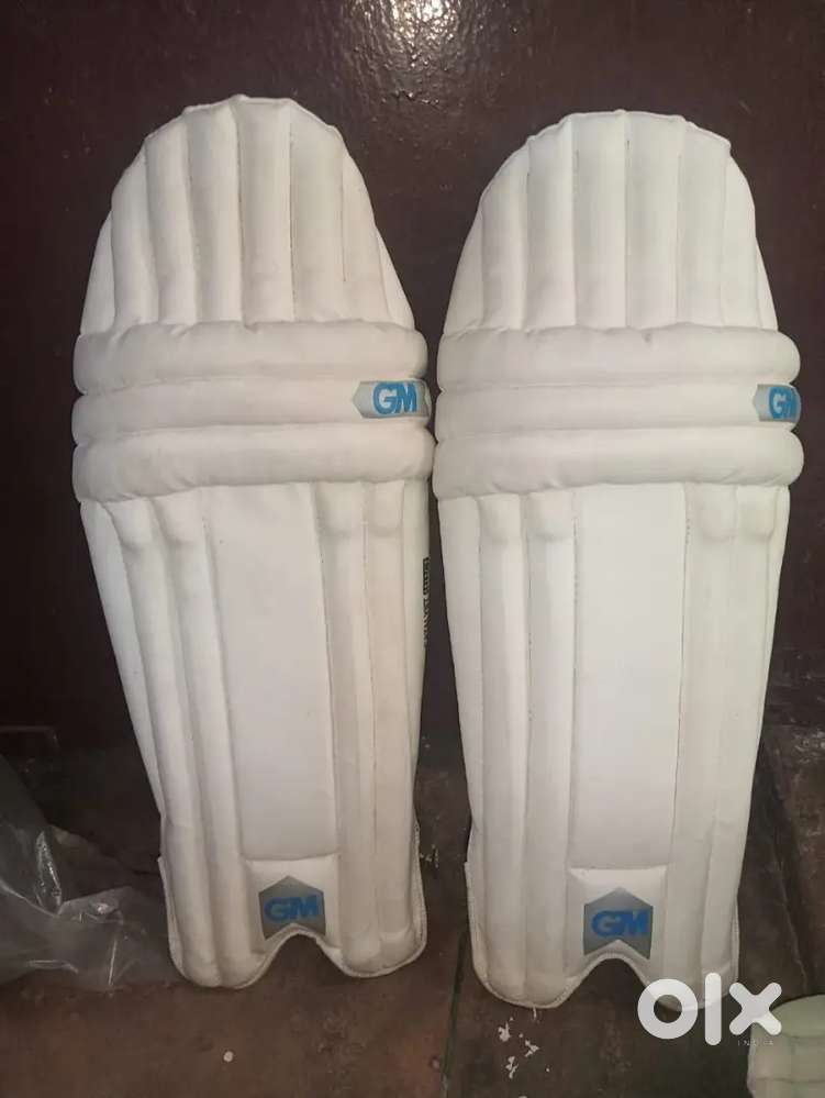 Cricket kit