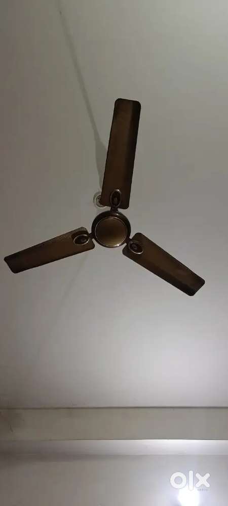 Ceiling Fan want to sell. Havells company. Good condition