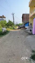 1350 square feet hai
