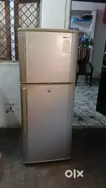 Double door fredge