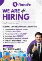 Phonepe qr sales field work