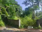 5.5 cent plot for sale in Vatiiyoorkavu