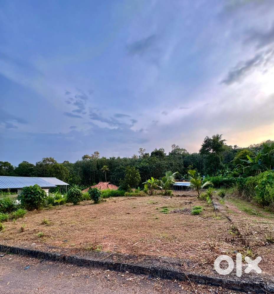 10 cent residential land for sale in Oonnukal
