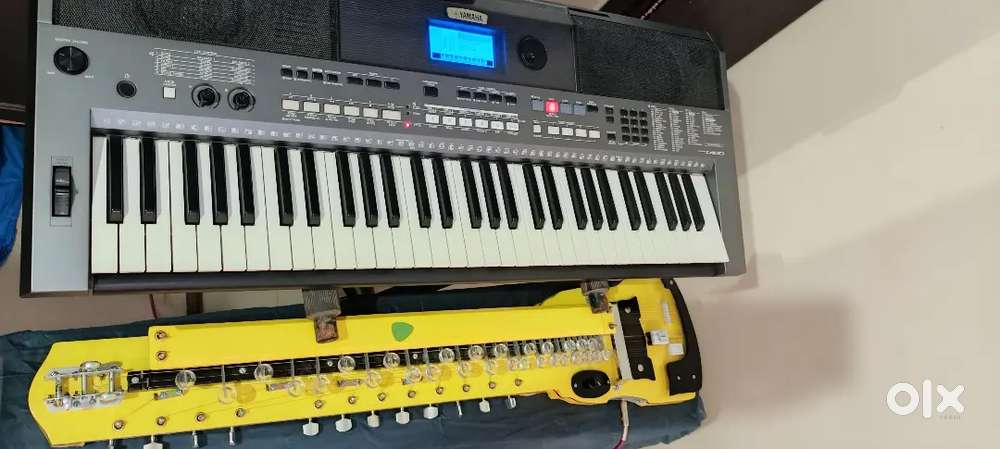 Roland BOSS DD3T delay machine and Bulbul