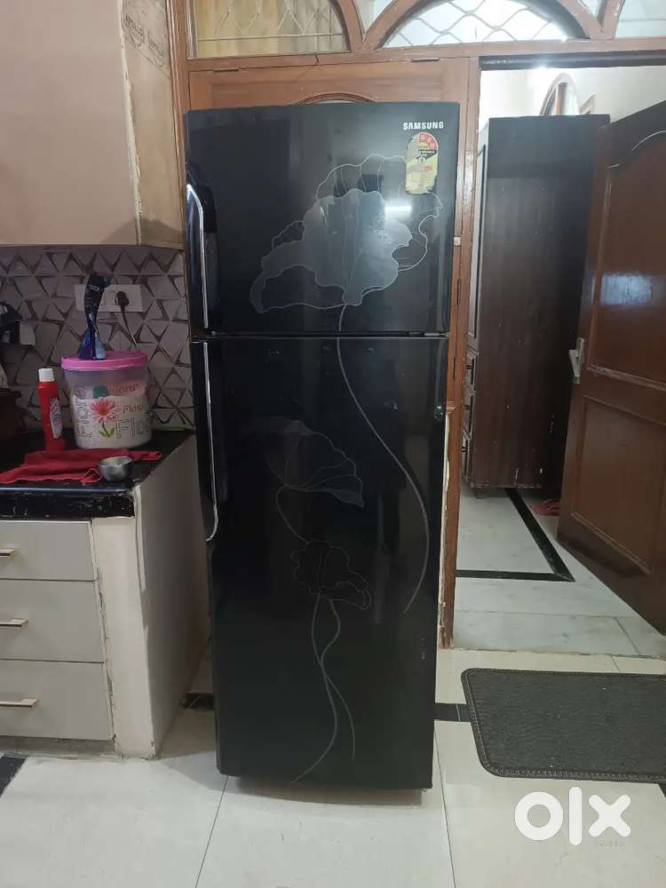 300 Litre Double Door Samsung Fridge