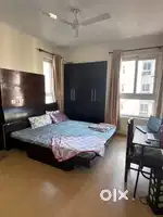 Houses available
