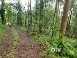9 acer land with coffee,different wood etcc @wayanad