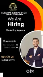Marketing  agency