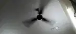 Fan in Good condition