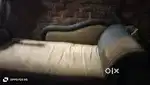 Kauch bachna ha