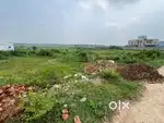 Road Side Plot Urgent Sell