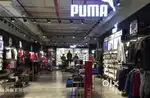 HIRING FOR | PUMA SHOWROOM | IN LUCKNOW LOCATION!