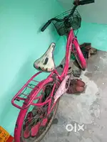 Ladi bird bycycle