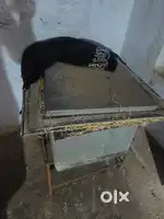 Large size cooler