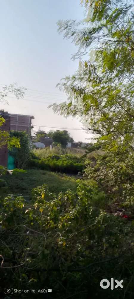 Registry wali nahin hai sirf likha padhi