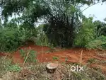 നെടുമ്പുര പള്ളിക്കൽ മെയിൻ റോഡ്,ബസ്റ്റോപ്പ് തൊട്ടടുത്ത്,