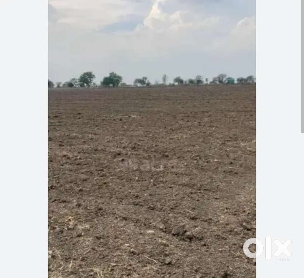 Agricultural & Commercial Land