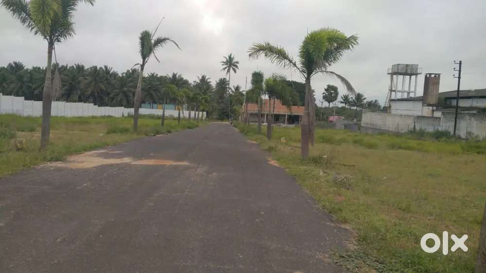 Low Budget Dtcp Plot sale near Othakaalmandabam
