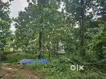 13 cents residential land for sale