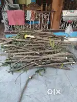 Garden wood
