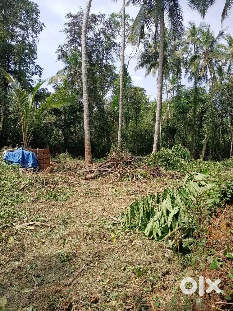 9 Cent Residential Plot Near Manekkara Krishibhavan