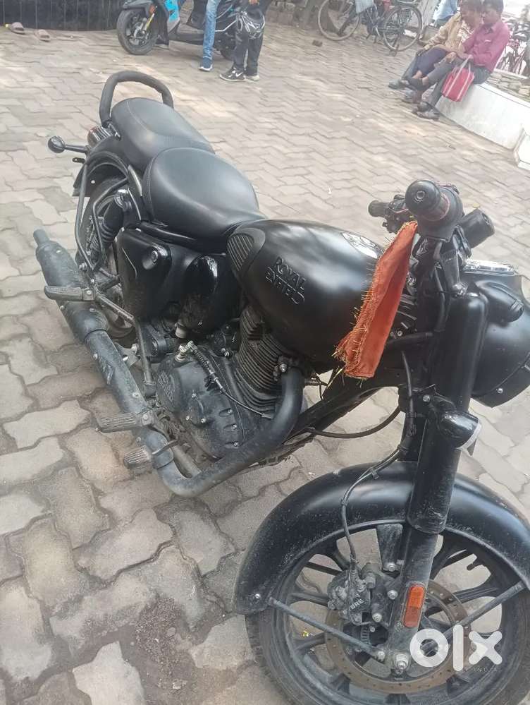 3 mnth old bullet only