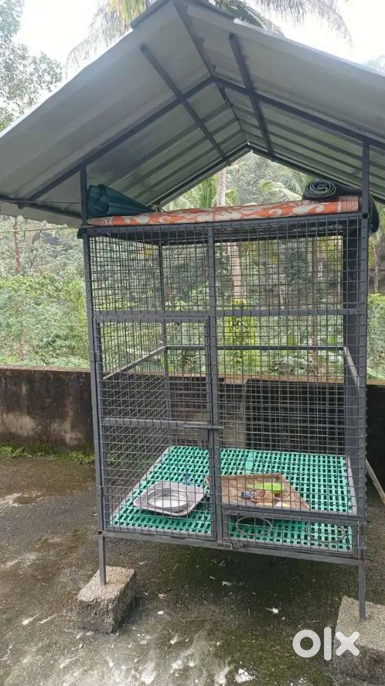 Dog cage for sale