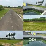 Agricultural land with kinaru eb