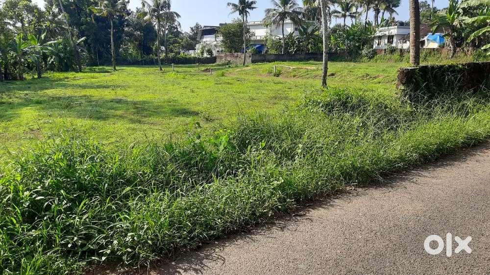 Peaceful area with all availability