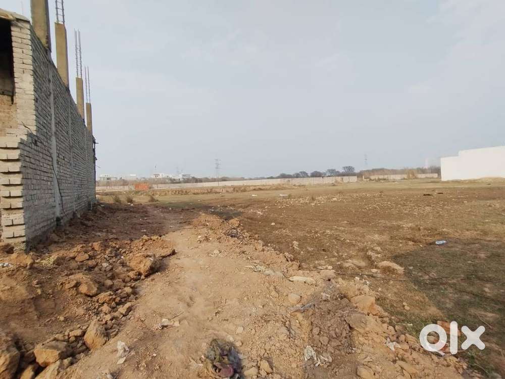 Tdi City Plot 256 Yard Sector 117 Mohali