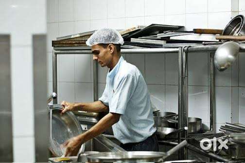 Kitchen steward and kitchen Helper