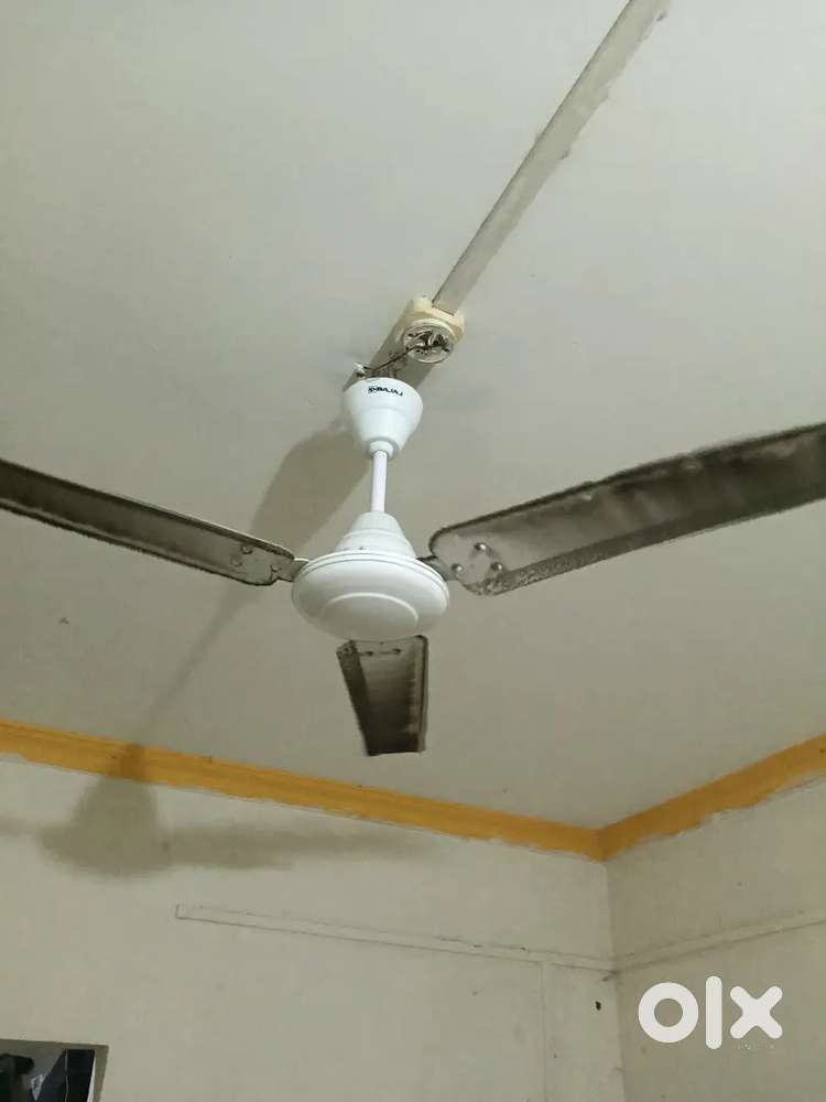 Ceiling Fan